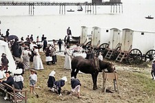 iwc072 -Bathing Machines on