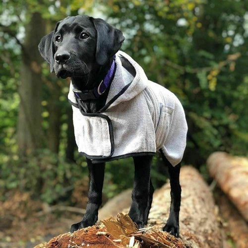 Happypet professional dog - professional,