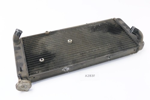 Aprilia etv 1000 capo - 1000,