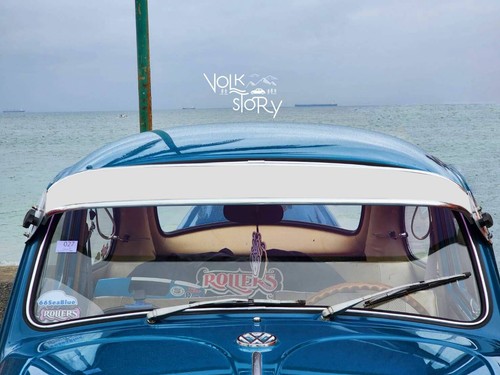 Beetle bug external - vw,