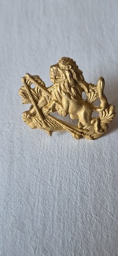 Rhodesia cap badge bsap - ,