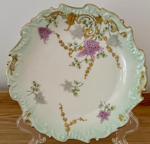 Bawo dotter elite limoges - &,