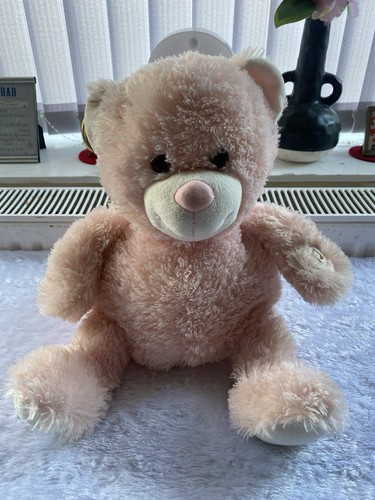 Lullabies plus toys teddy bear - toys,