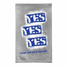 WWE Daniel Bryan Fight for