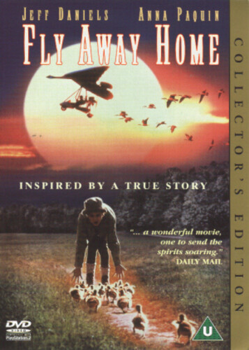 Fly away home dvd jeff - home,