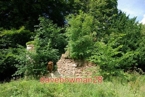 Photo the old place - ,
