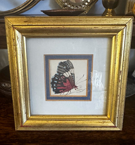 Vintage butterfly print - butterfly, /