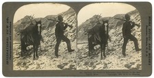 MONTANA SV - Deer Hunter &
