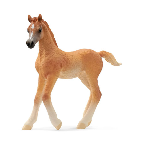 Schleich arabian foal 13984 - arabian,