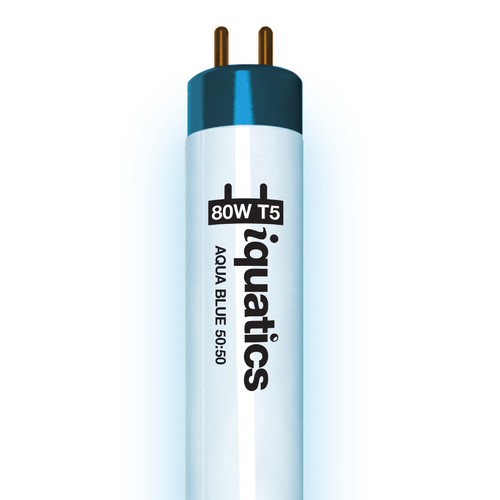 Iquatics aquarium fish - iquatics,