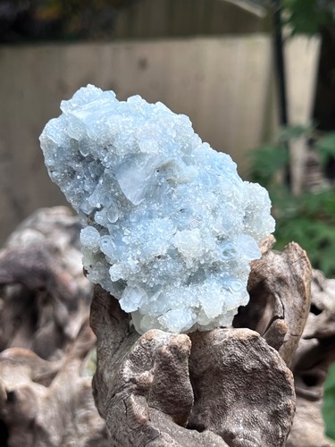 Apophyllite gemmy multi - apophyllite,
