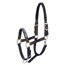 Schockemohle Memphis Safety