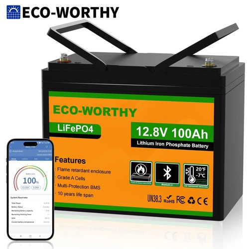 Eco worthy 12v 100ah lifepo4 - 100ah,