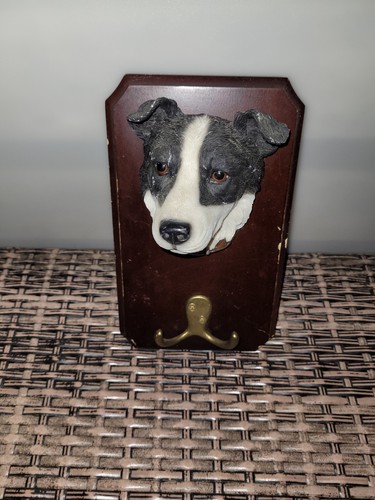 Vintage border collie - vintage,