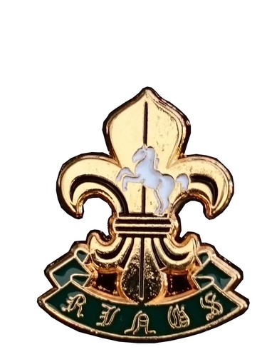 Kings regiment lapel - regiment, pin