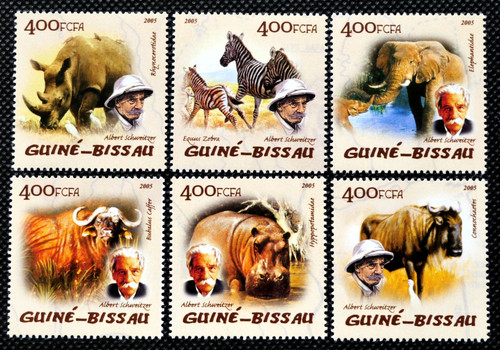 African animals rhino - african, ~