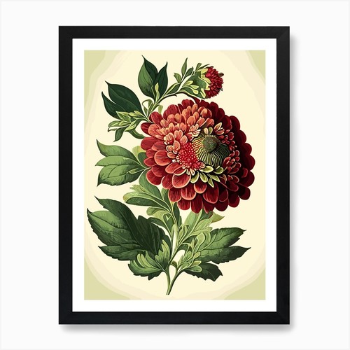 Zinnia wildflower vintage - wildflower,