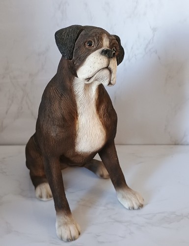 Boxer dog seated - dog, approx