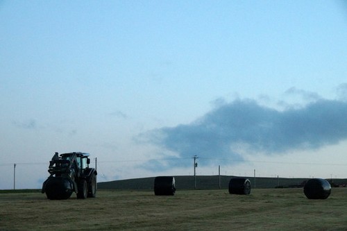 Photo 6x4 collecting - 6x4, silage