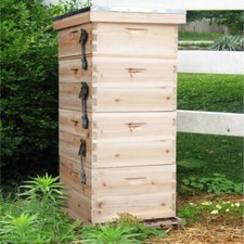 4 Tiers Langstroth Beehive Box