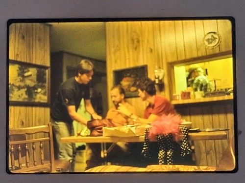 Domestic scene kodachrome - domestic,