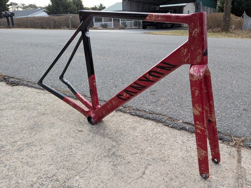 Custom painted canyon - custom,