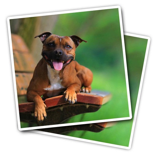 Vinyl stickers happy red - vinyl,