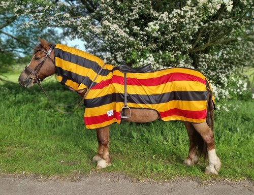 Fly mesh rug for horse - rug,