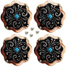 Set of 4 Conchos Western