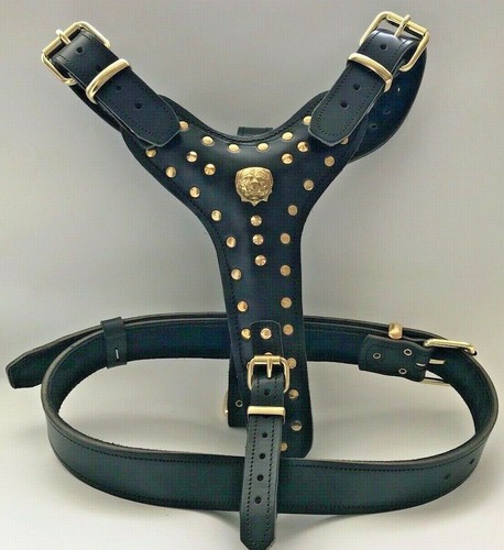 Rottweiler dog harness with - dog,