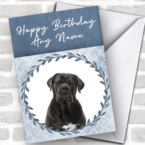 Cane corso dog blue animal - dog,