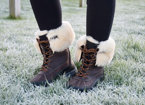 Rhinegold arctic elite - rhinegold,