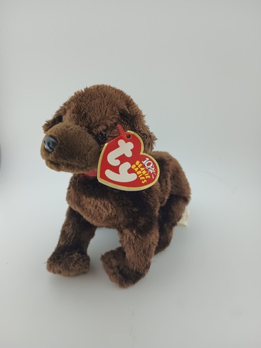 Muddy chocolate labrador - ty,