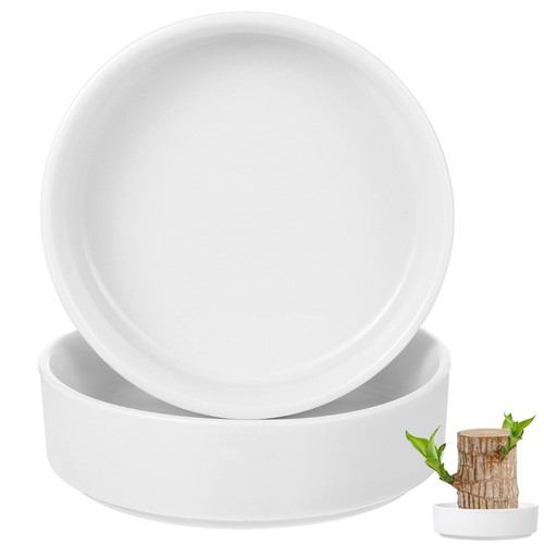 2pcs ceramic plant tray - plant, for