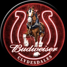 Budweiser Clydesdales On a