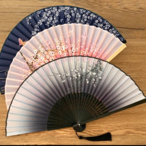 Hand fan japanese pattern - hand,