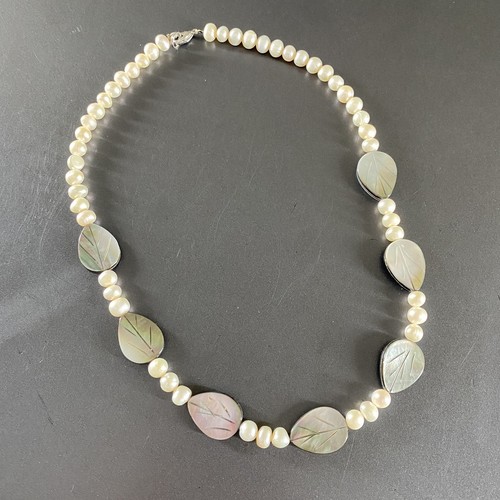 Cultured pearl abalone - cultured,