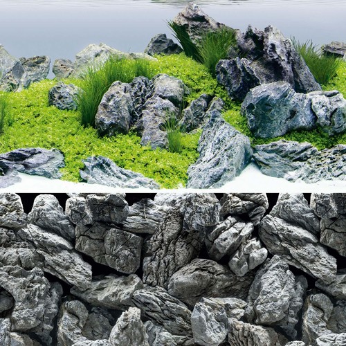 Juwel poster rock aquascape - poster,