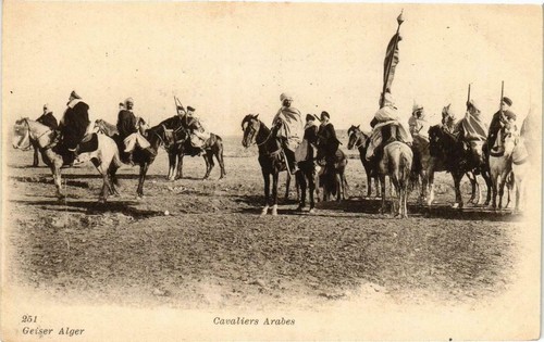 Old postcard algeria geiser - ak,