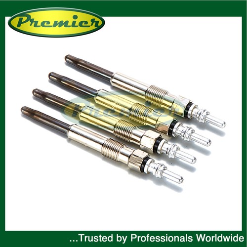 Premier diesel heater glow - premier, 4x