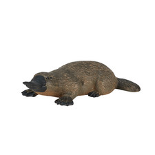 Duck-Billed Platypus Toy Wild