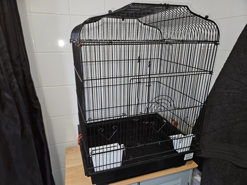 Liberta siam bird - siam, cage
