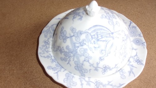 Rare coalport chinoiserie - coalport,
