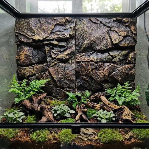 Rock aquarium background - 3d,