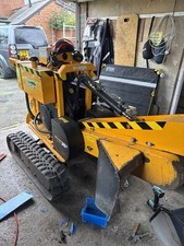 Stump Grinding Service, Tree