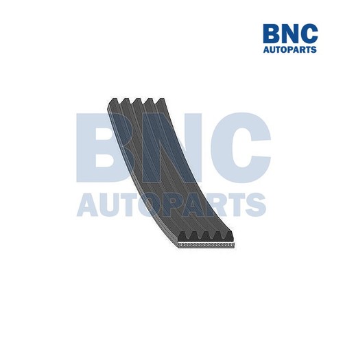 Motaquip ribbed drive - v-ribbed,