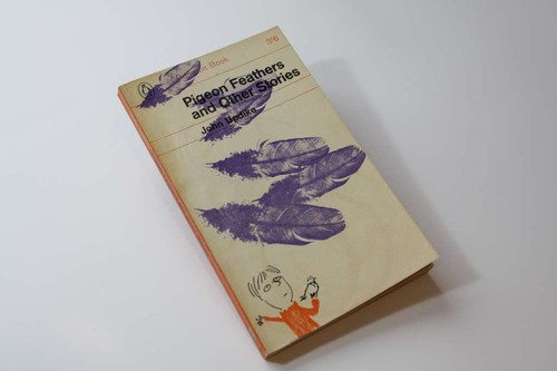 Pigeon feathers and other - pigeon,