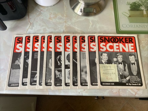 Vintage snooker scene - vintage,