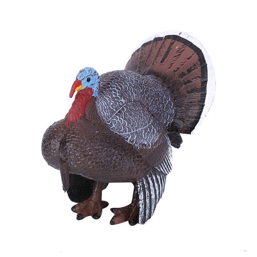 Simulation animal model turkey - simulation,