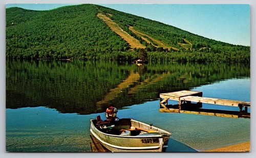 Pleasant mountain moose - pleasant,
